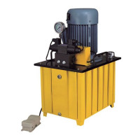 Насос электрогидравлический TOR HHB-630B-III (220V/1PH/1.5KW) 1004853