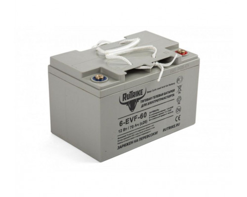Аккумулятор для штабелёров WS/IWS 12V/120Ah гелевый (Gel battery) 1005900