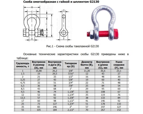 Скоба омегообразная TOR 3,25 т (тип G2130) (Q) 12303256