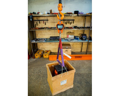 Весы электронные крановые TOR OCS-L 500кг (X) 1004317