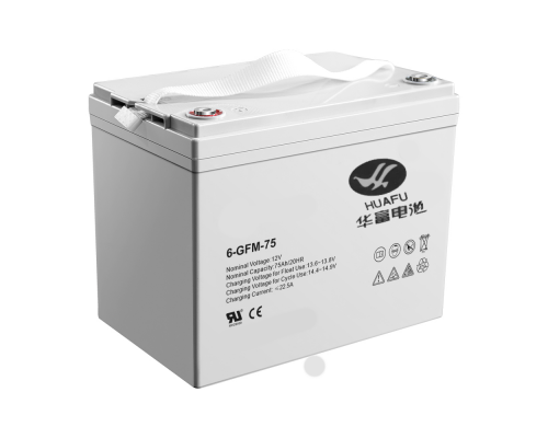 Аккумулятор для штабелёров PWS/IWS 6-EVF-80Ah (V8) 
свинцово-кислотный (WET battery) 1019844